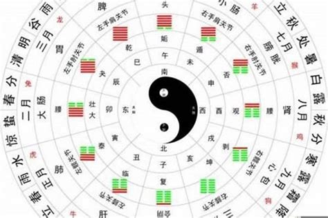 手機號碼八字|生辰八字算命、五行喜用神查詢（免費測算）